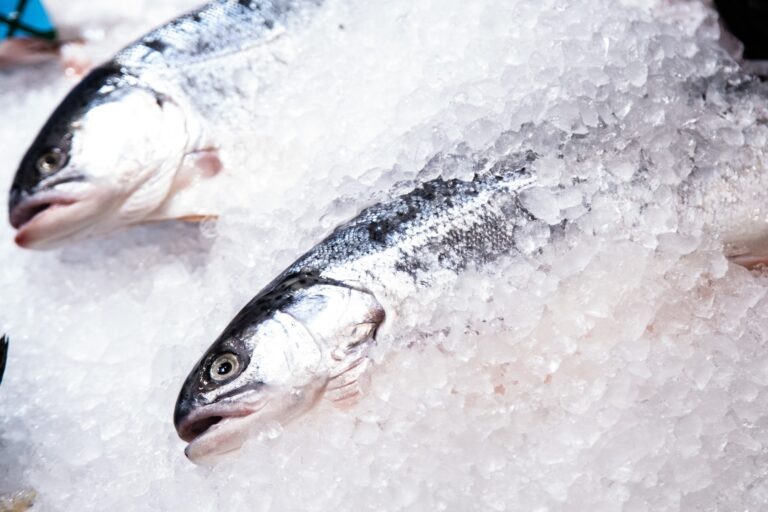    Фото: Общественная Служба Новостей Дарья Иванова