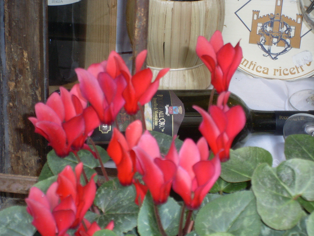 фото автора из поездки