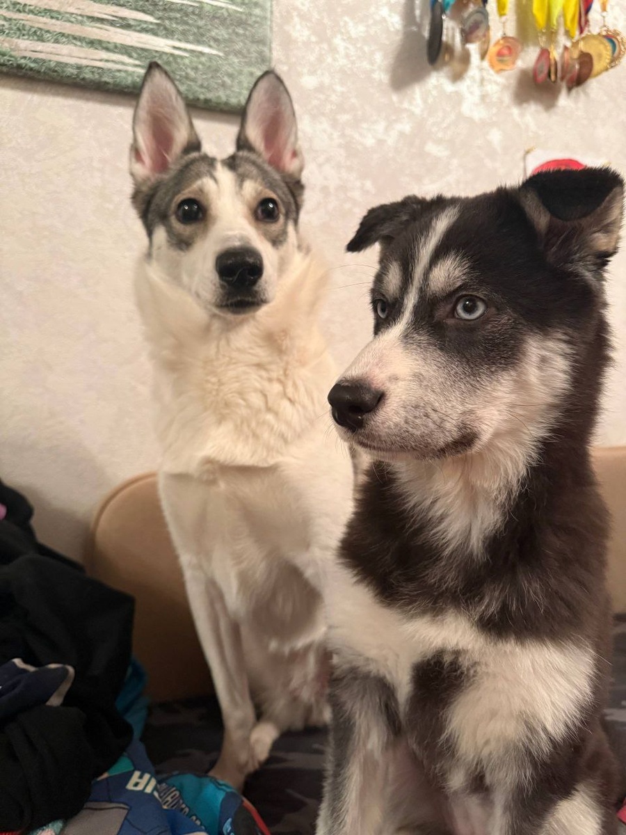 Слева Ирма, справа Алена ☺️