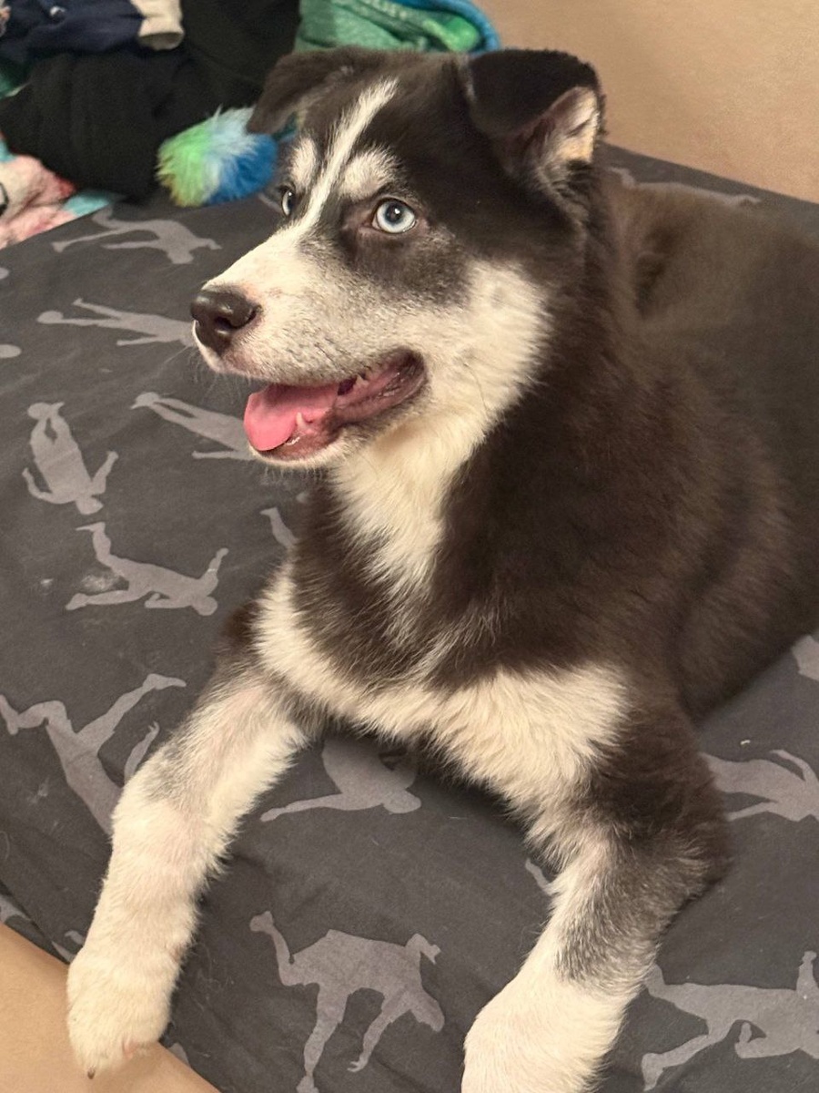 АленДелона (Алена) :)