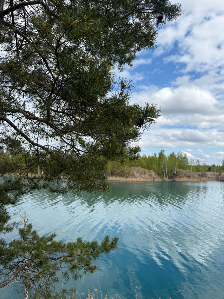 Кондуки летом.