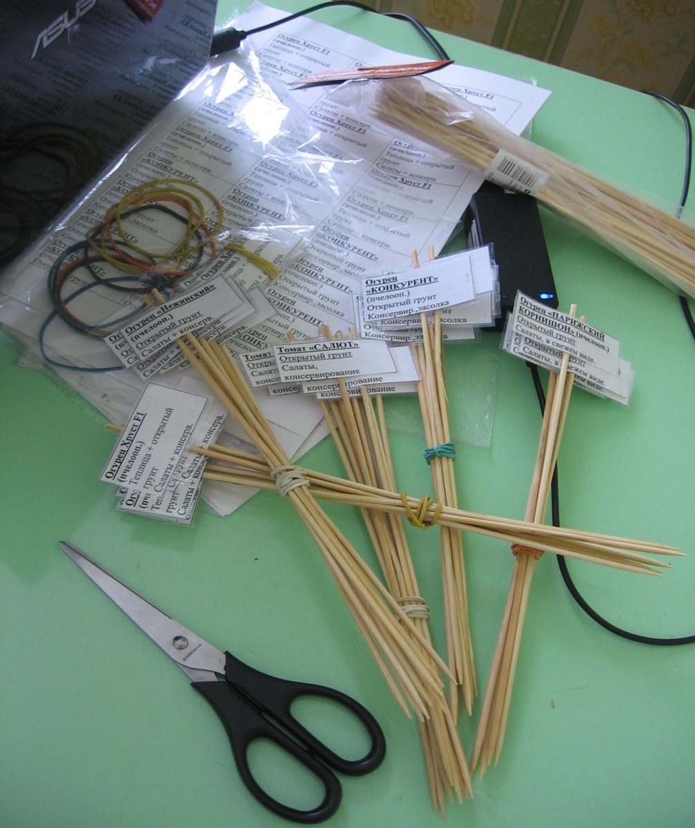 Всё в образцовом порядке, подписано и отмечено