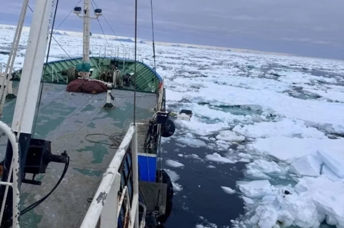    Рыбопромысел в Хабаровском крае держит высокий темп