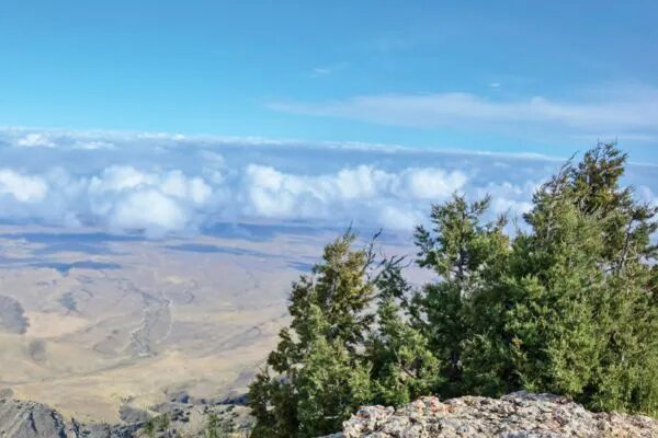    Цветокоррекция оригинального изображения была произведена с использованием ИИ "Ниязов 2.0"