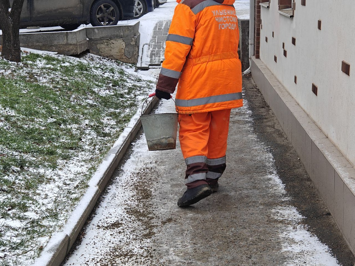    Фото: Юрий Серебренников/BFM Кубань
