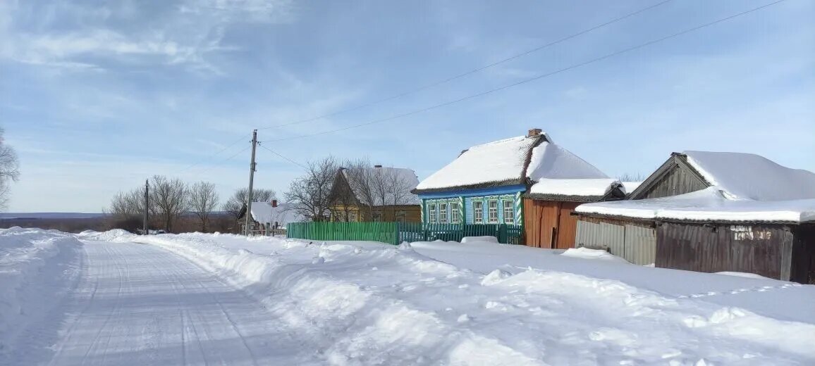 Зима 2023–2024 гг. Фото автора