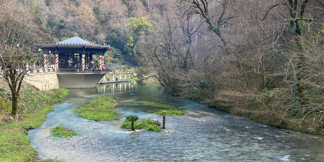 Почему мы выбираем для зимовки Абхазию