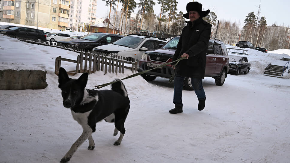 Фото: Евгений Разумный / Коммерсантъ
