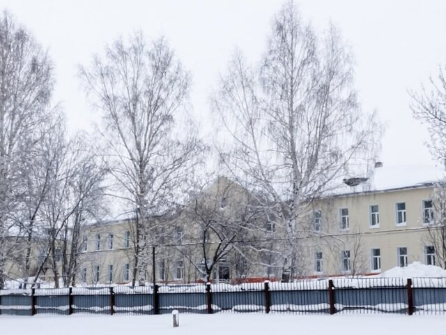    Фото: ТАСС/Александр Алтурин