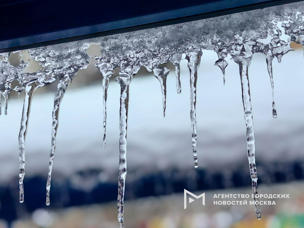 Фотограф: Василий Кузьмичёнок