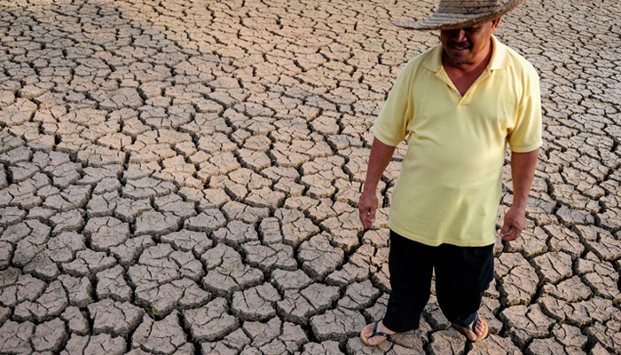 Новая реальность: Земля нагревается, а климат стал поводом для судебных исков