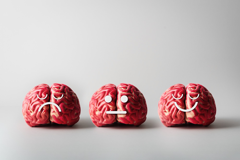 Как мозг управляет нашими эмоциями. (источник изображения: freepik.com)