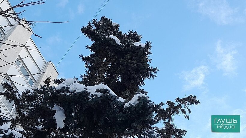   Фото: «Глушь медиа»