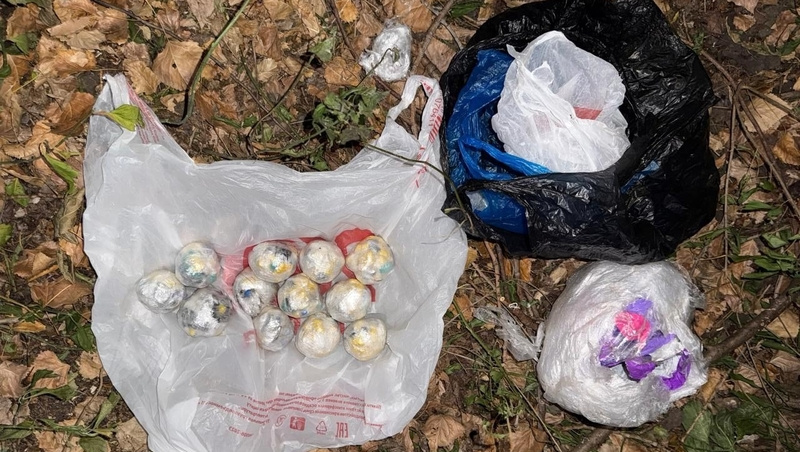      Фото: ГУ МВД России по Ставрополью