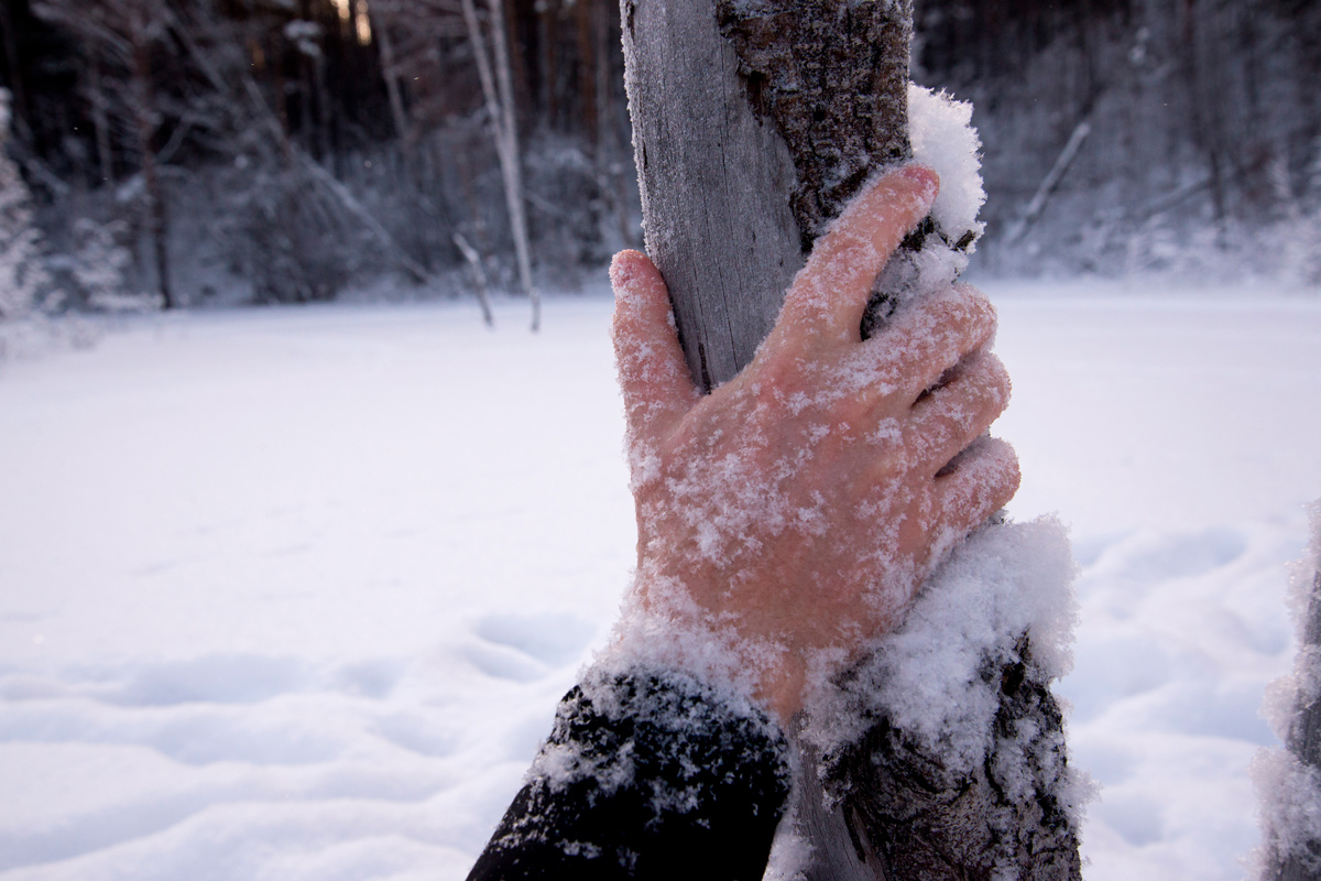    Изображение носит иллюстративный характер. Фото: woff / Shutterstock.com