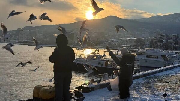    © Telegram-канал главы администрации Ялты Янины Павленко