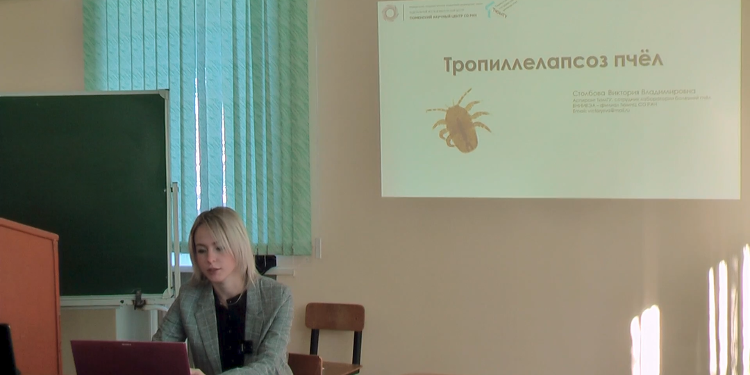 Клещ Тропилелапс у пчёл: как обнаружить и спасти пасеку? Объясняет Виктория Столбова