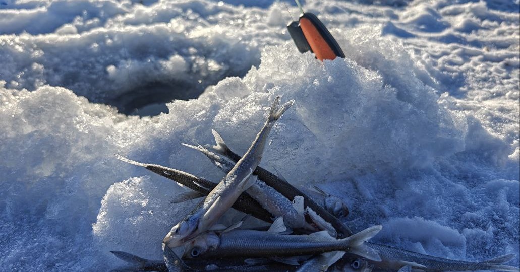 Рыбалка на уровне подсознания