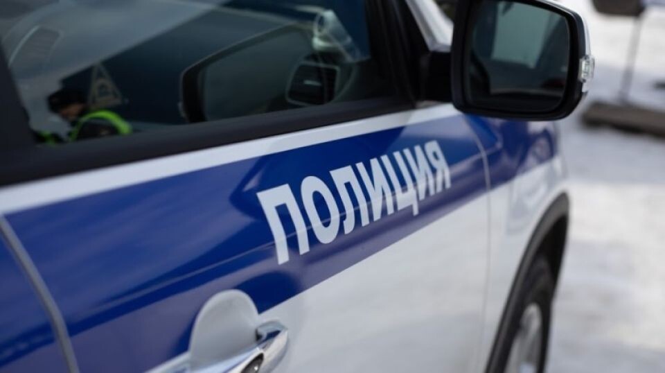    Полиция. Источник: Анна Меньшикова