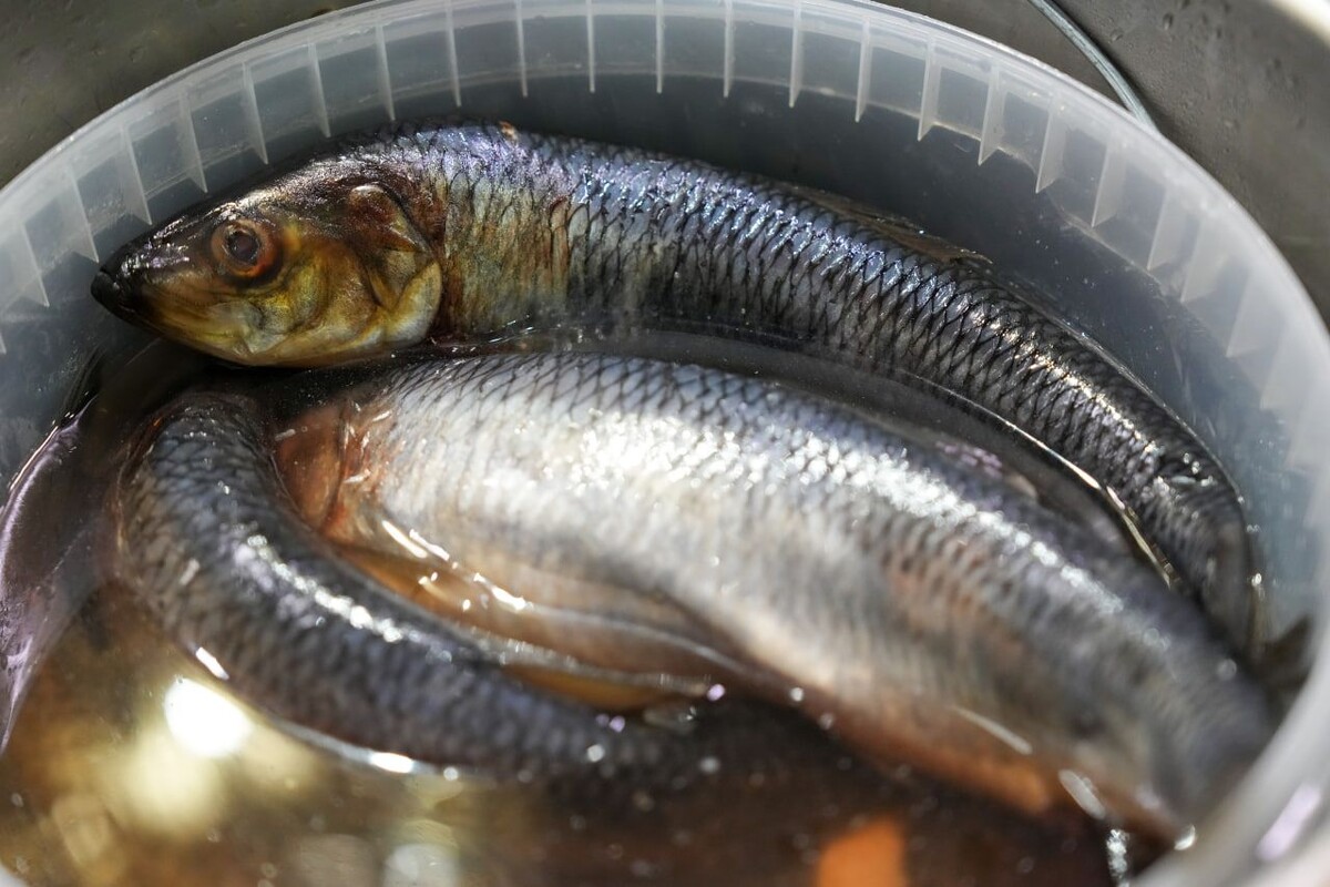     / Источник: © ИЗВЕСТИЯ/Дмитрий Коротаев