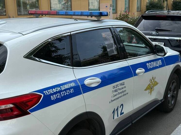     Фото: архив МК в Питере.