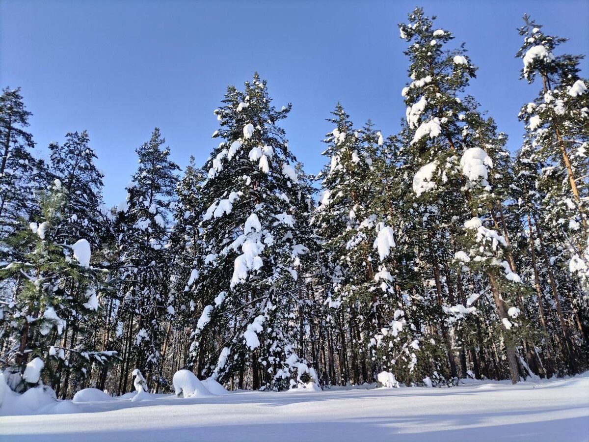 фото Александра Катаева