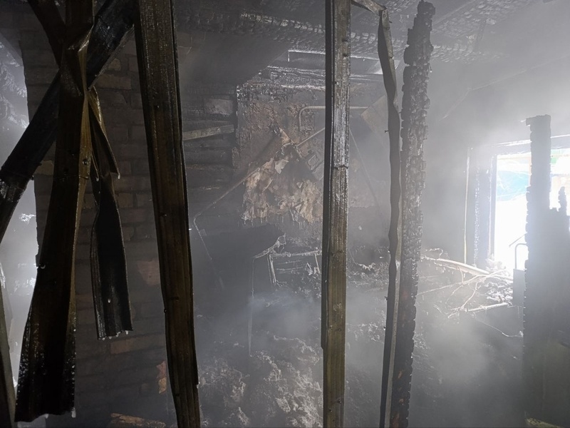    Фото: пресс-служба СУ СКР по Пензенской области