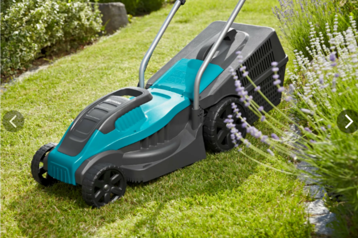 фото из интернета