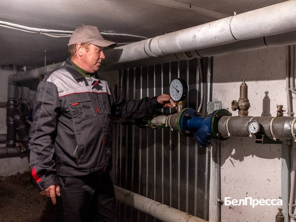     Фото: Алексей Дацковский