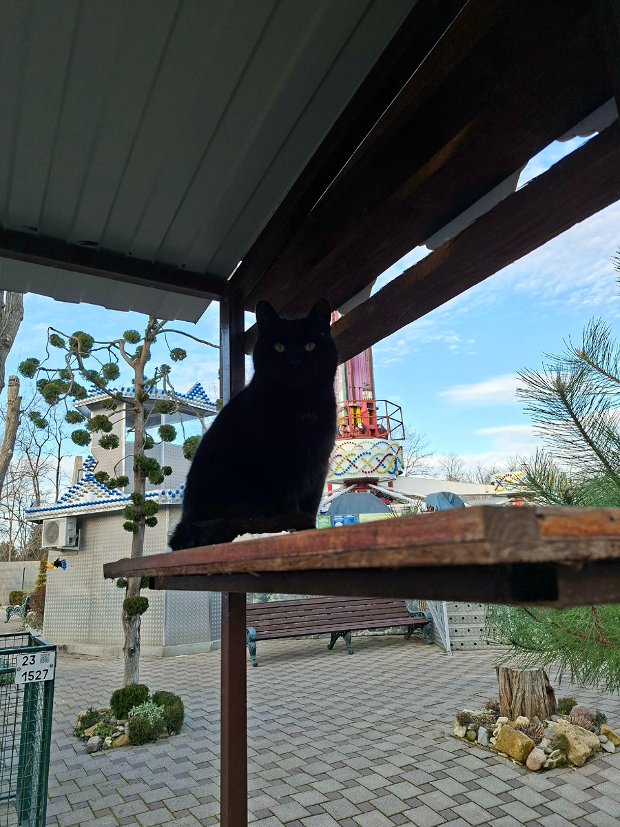 "Смотрящий" - сам из тени не выйдет, одни глазищи блестя))