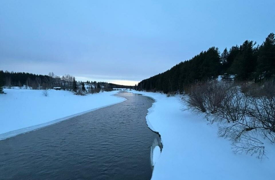     Фото: "Бриф24"