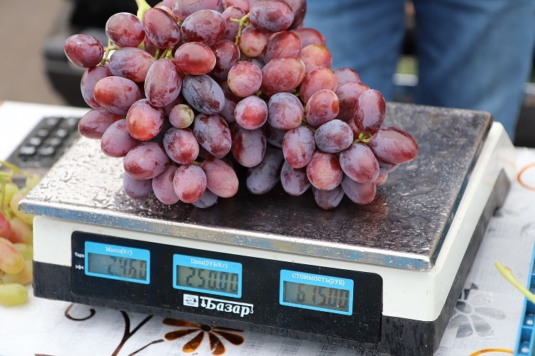    Фото из архива "РВ" Василий Шеин