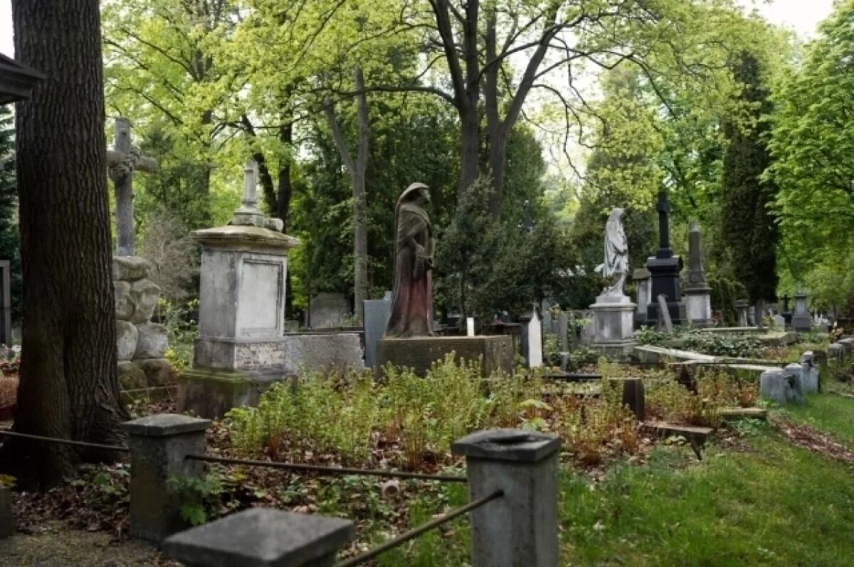    Подрядчика по уборке кладбищ в Красноярске внесли в чёрный список