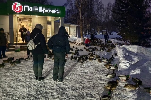    Фото: АиФ/ Ирина Выборнова