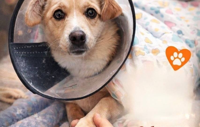 💔 Одна ошибка, одно мгновение – и жизнь маленькой Милки перевернулась… 💔