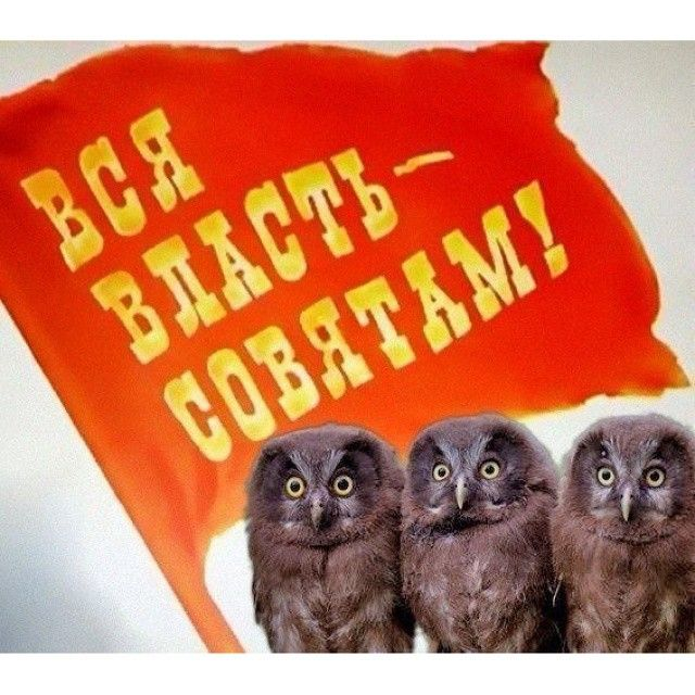 Интернеты шутят