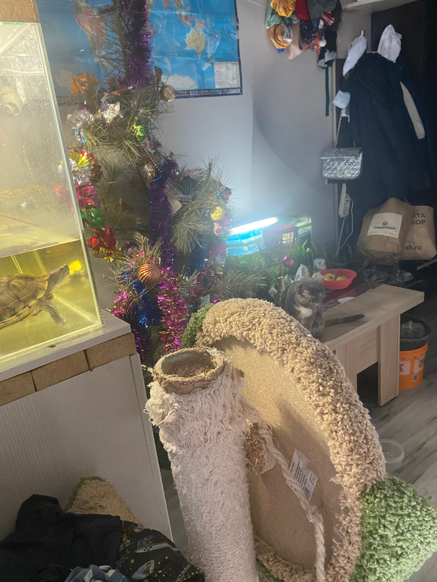 Фото дня - отломали когтеточку!!! 🤪