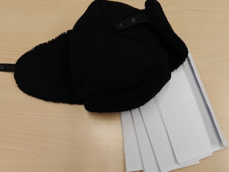     Фото: архив МК в Питере.