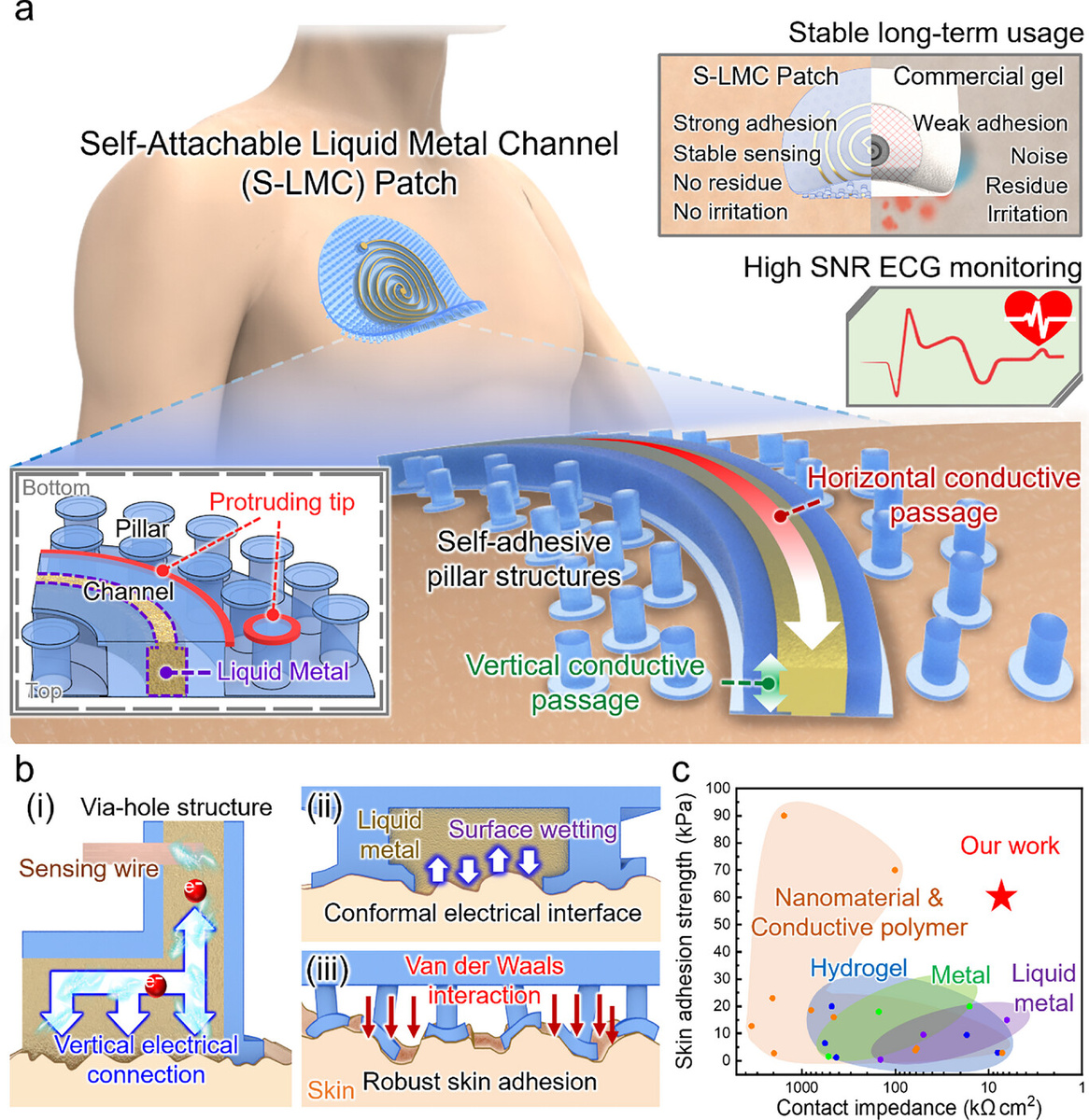 Рис 1. Конструкция и основные преимущества патча S-LMC. a) Схема архитектуры патча S-LMC, объединяющего микрожидкостный канал с открытым дном и адгезивный интерфейс на основе микростолбиков, с сравнением характеристик с коммерческим гелевым электродом. b) Функциональные особенности пластыря S-LMC: (i) вертикальная передача сигнала через центрально расположенное сквозное отверстие; (ii) конформный контакт и низкоимпедансное соединение, обеспечиваемое смачиванием жидким металлом; (iii) прочная, обратимая адгезия за счет ван-дер-ваальсовых взаимодействий на кончиках микростолбиков. c) Сравнительный анализ прочности адгезии к коже и электрического импеданса по сравнению с традиционными сухими, гидрогелевыми и жидкометаллическими электродами.