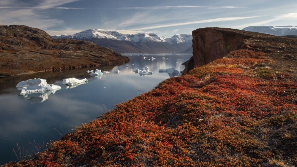     Фото: imageBROKER.com/Shutterstock/FOTODOM