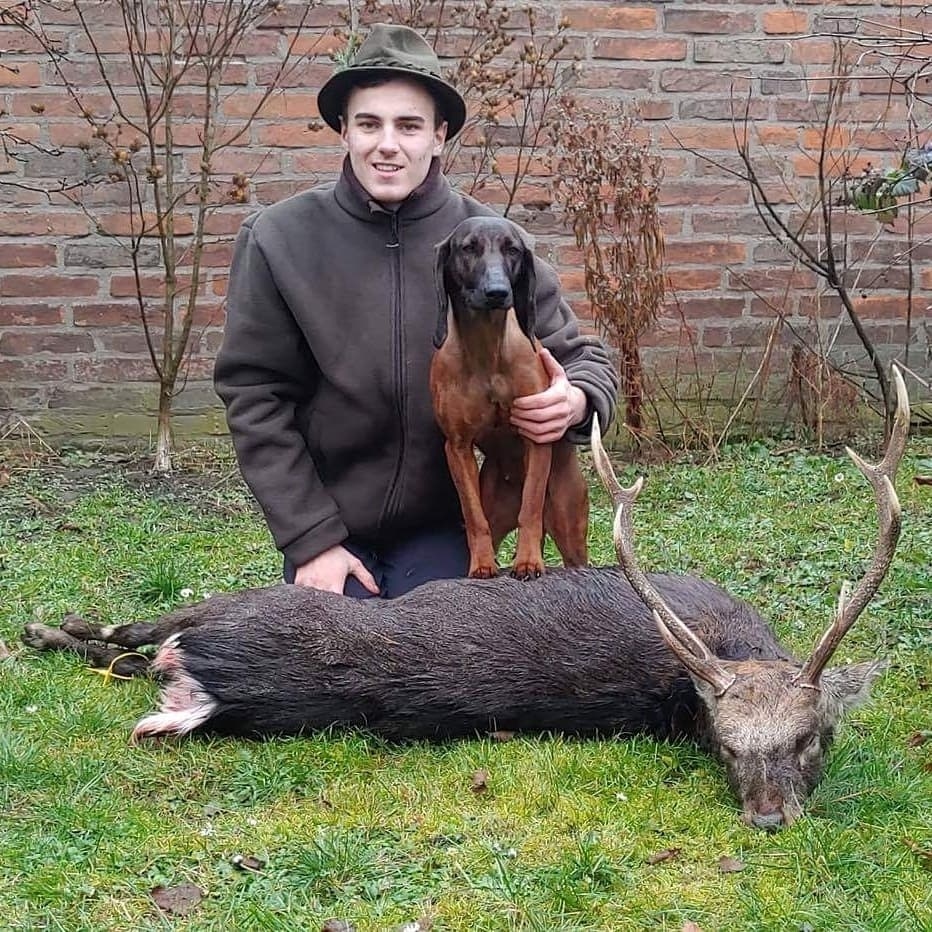 Красивая Счастливая Жизнь Бритни Вуд