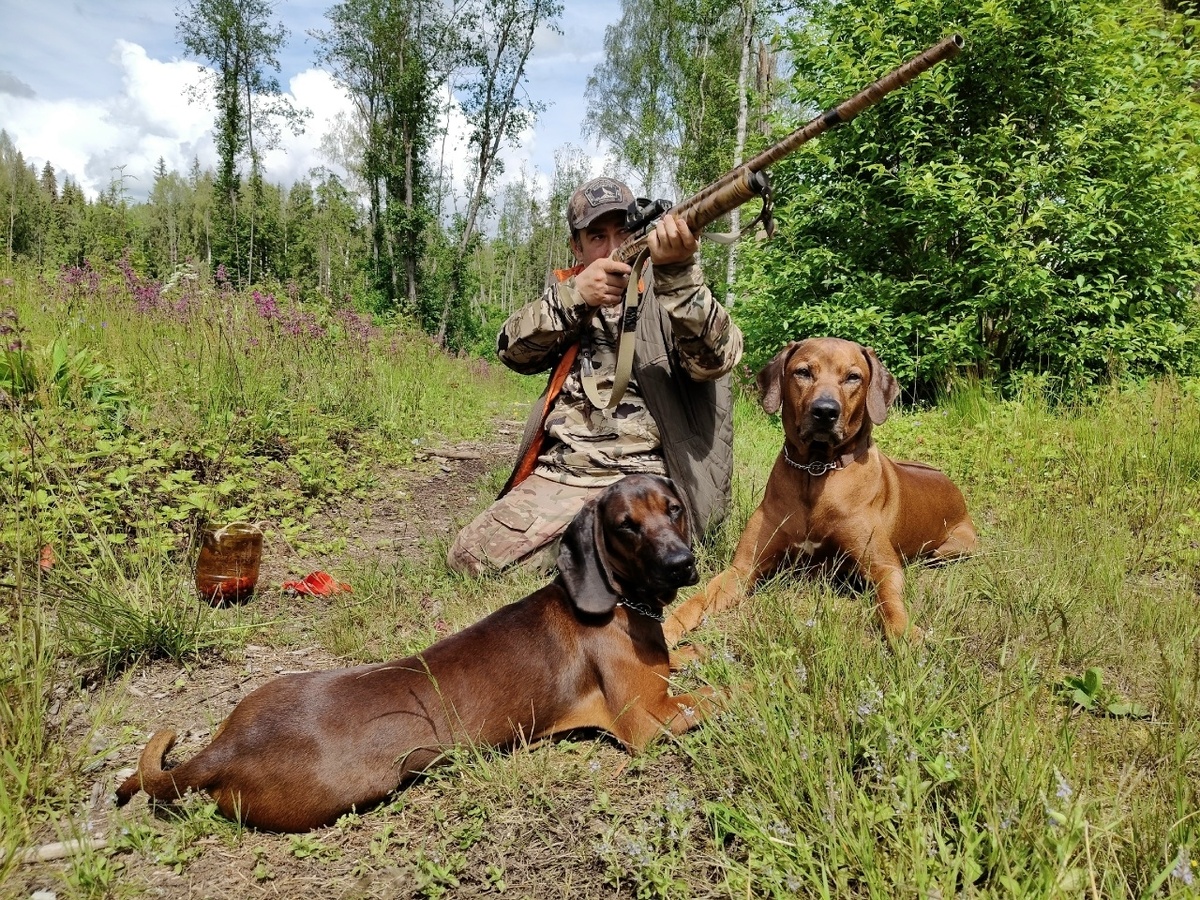 Красивая Счастливая Жизнь Кинг
