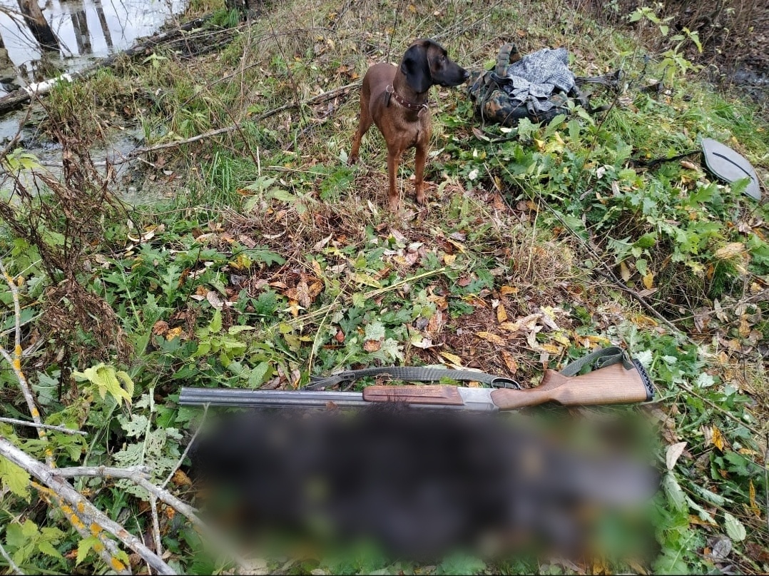 Красивая Счастливая Жизнь Аиша Найт