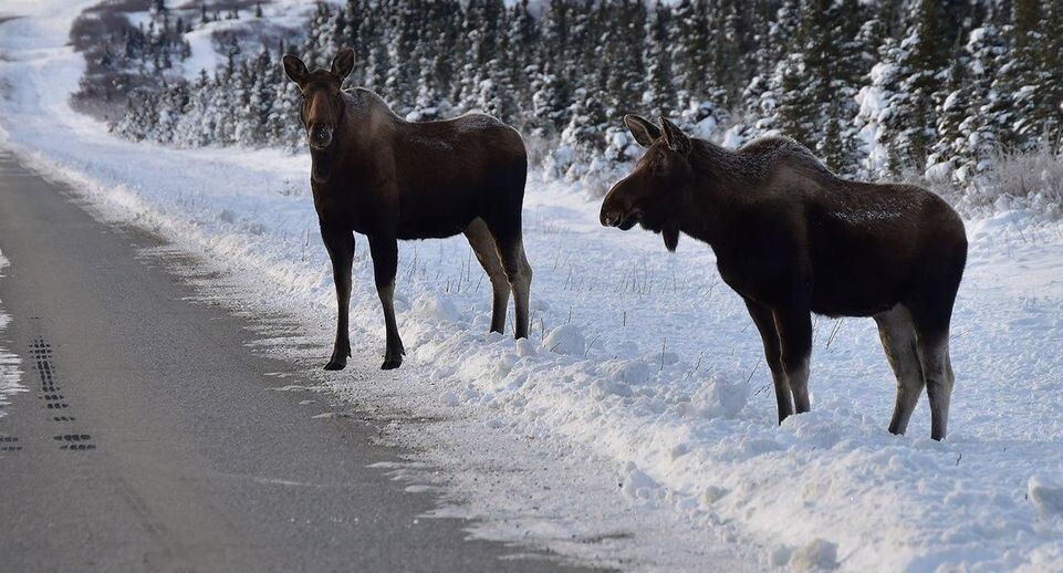    istockphoto.com/John Pennell