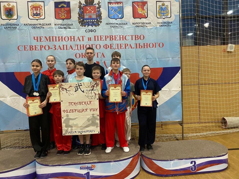 19 медалей завоевали псковичи на чемпионате и первенстве СЗФО по ушу
Фото: предоставила Виктория Алферова