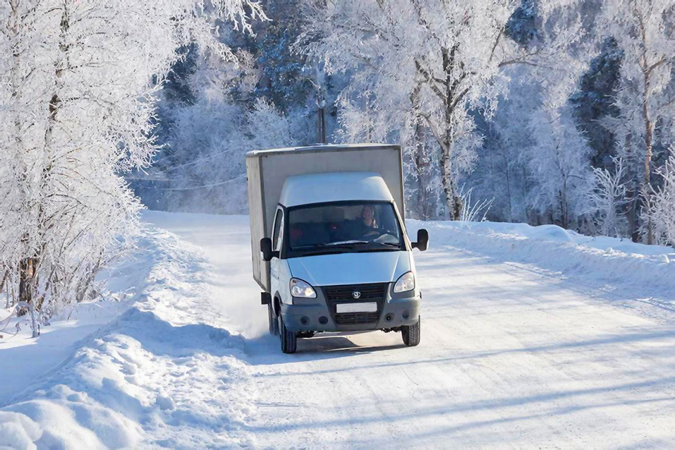    Фото создано нейросетью