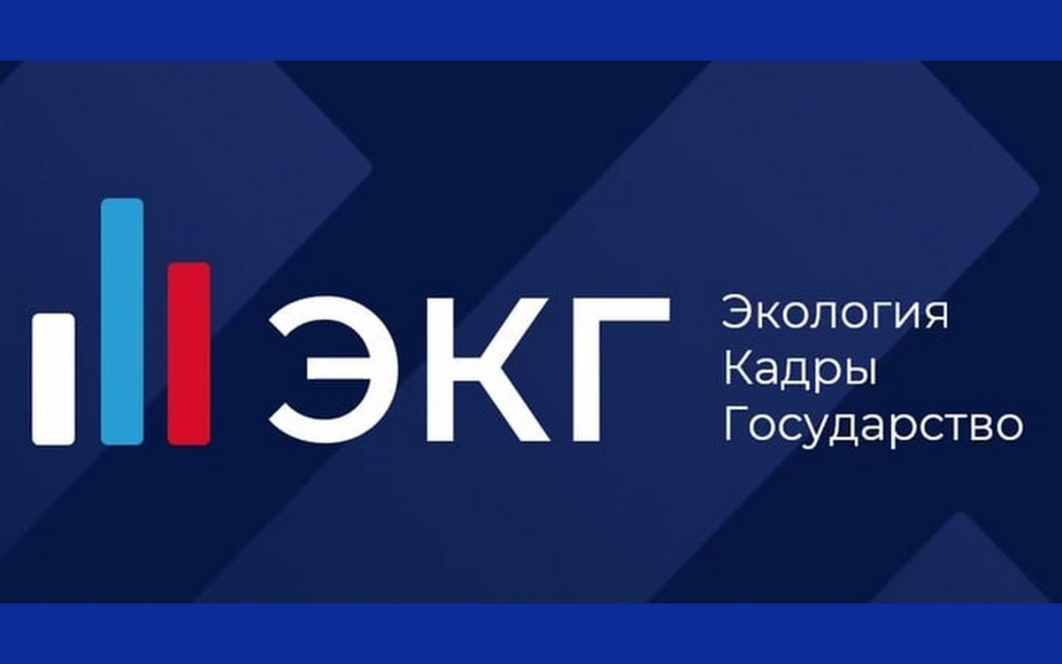    Для получения статуса ответственного бизнеса и льгот воронежским предпринимателям придется попасть в ЭКГ-рейтинг Скриншот с сайта Агентства по привлечению инвестиций Воронежской области