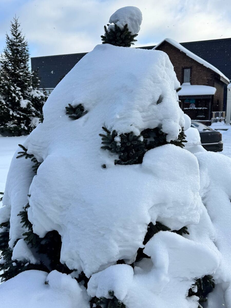 Фото из личного архива