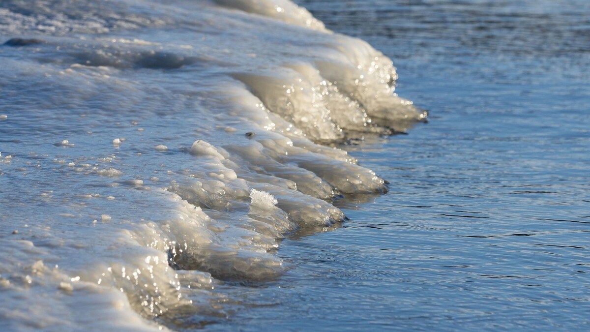    Фото: Федор Воронов/«Ямал-Медиа»