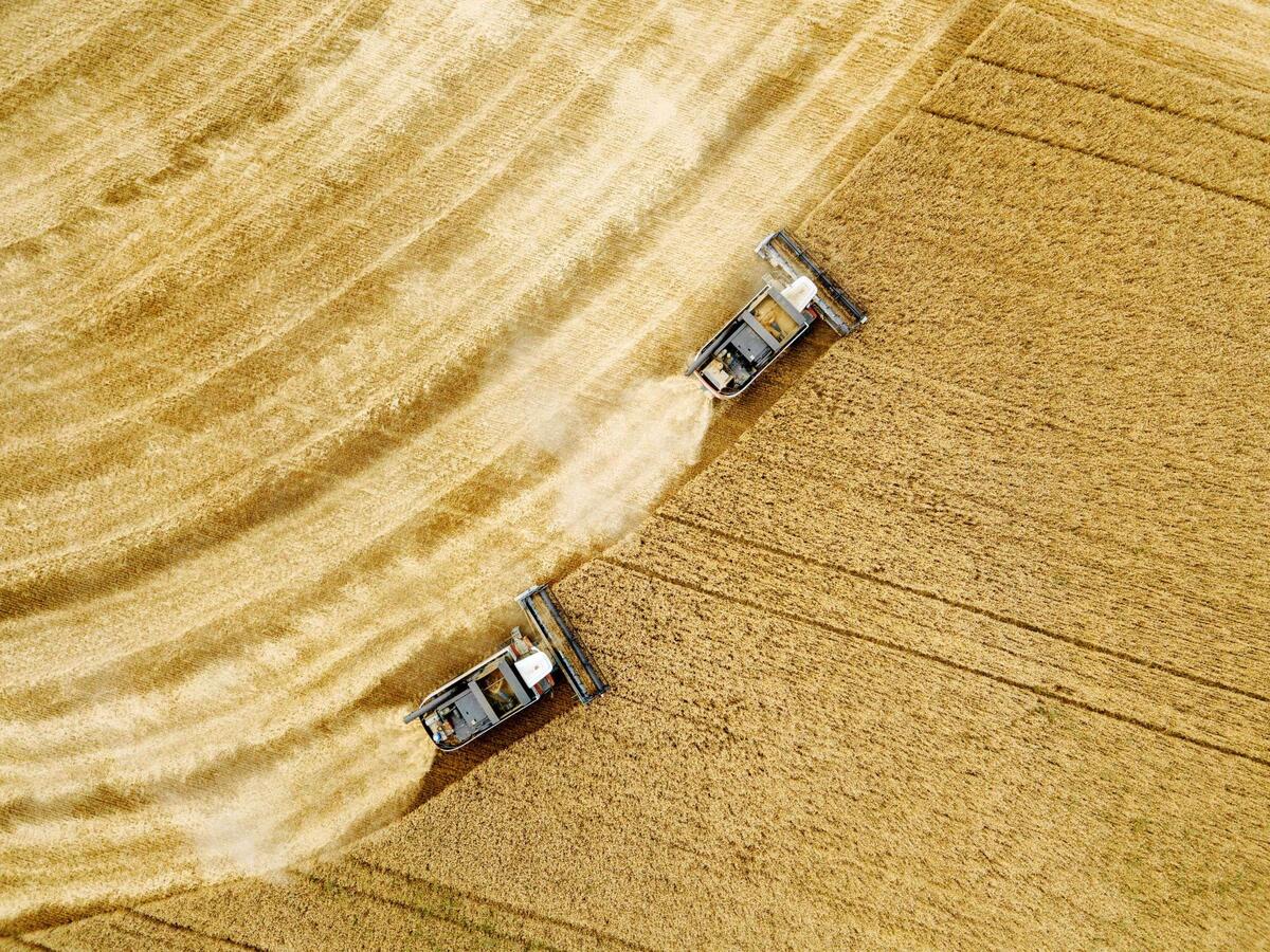 (С) Ростсельмаш